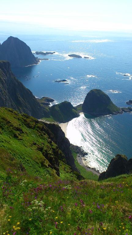 Lofoten Resort Сёрвоген Экстерьер фото